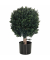 Kunstpflanze Buxus 871055