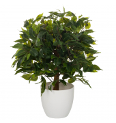 Kunstpflanze Ficus 871061