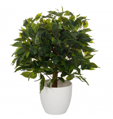 Kunstpflanze Ficus 871061