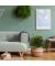 Kunstpflanze Ficus 871061