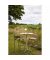 Barstuhl Calor 50751 sand 4St