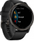 Venu 2 Smartwatch schwarz, schiefergrau