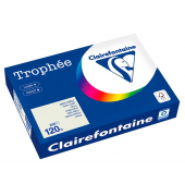 Kopierpapier Trophee 1201PC grau A4 120g 