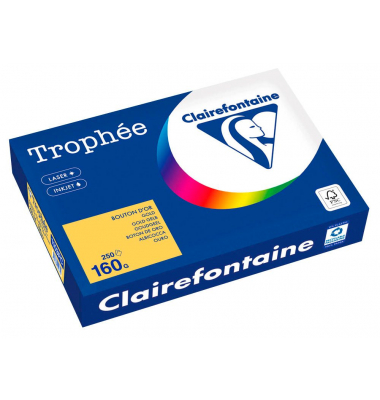 Kopierpapier Trophee 1103PC gold gelb A4 160g 