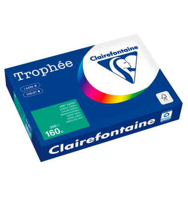 Kopierpapier Trophee 1019PC tannengrün A4 160g Kopierpapier Trophee 1019PC tannengrün A4 160g
