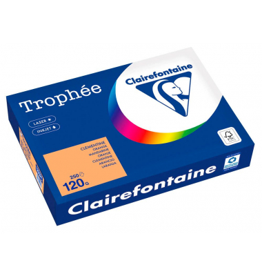 Kopierpapier Trophee 1205PC mandarin A4 120g 250 Blatt