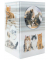 Stiftehalter Katzen Karton 8,0 x 8,0 x 13,5 cm
