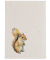 Notizbuch 26099-15, Eichhörnchen, weiß, A5, punktkariert, 70g, 64 Blatt / 128 Seiten