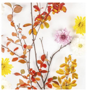 Motivserviette 33x33cm Herbst