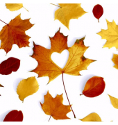 Motivserviette 33x33cm Herbst