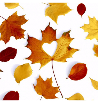 Motivserviette 33x33cm Herbst