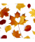 Motivserviette 33x33cm Herbst