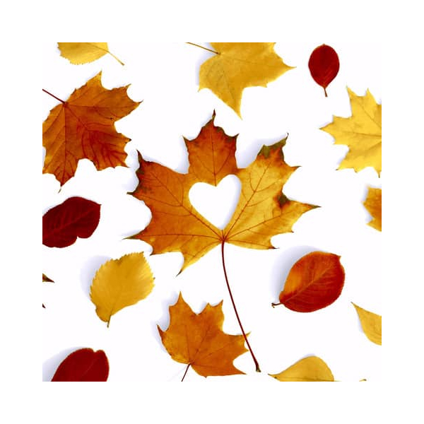 7321012074517 - Motivserviette 33x33cm Herbst 7321012074517 PAPER+DESIGN 7321012074517 - Motivserviette 33x33cm Herbst 7321012074517 PAPER+DESIGN