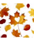 Motivserviette 33x33cm Herbst