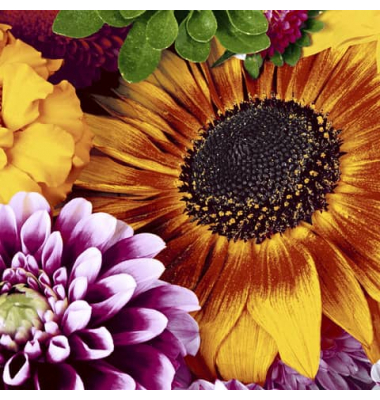 Motivservietten 207454 / Blumen im Sp&auml;tsommer, 3-lagig, 33x33cm