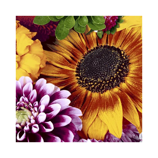 7321012074548 - Motivserviette 33x33cm Herbst 7321012074548 PAPER+DESIGN 7321012074548 - Motivserviette 33x33cm Herbst 7321012074548 PAPER+DESIGN