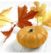 Motivserviette 25x25cm Herbst