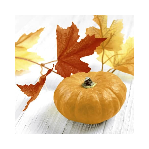 7321012074562 - Motivserviette 25x25cm Herbst 7321012074562 PAPER+DESIGN 7321012074562 - Motivserviette 25x25cm Herbst 7321012074562 PAPER+DESIGN