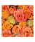 Motivserviette 33x33cm Herbst