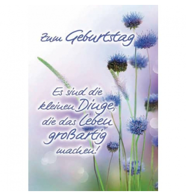 Geburtstagskarten 01-213