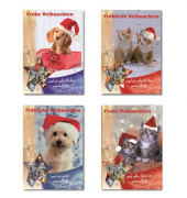 D.T.Weihnachtskarten  sortiert