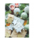 Weihnachtskarte ohne Text