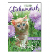 Geburtstagskarten 512502 bunt