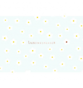 Glückwunschkarten 41-2857 17x11,5cm 170mm x 115mm (BxH) geprägt Bild
