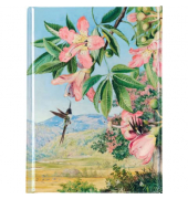 Notizbuch FTPB100, FLAME TREE, mehrfarbig, A6, liniert, 80g, 88 Blatt / 176 Seiten