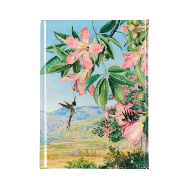 2 Stück FLAME TREE Notizbuch FTPB100, FLAME TREE, bunt, A6, liniert, 80g, 88 Blatt / 176 Seiten 9781787558342 FLAME TREE