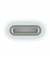 USB-C auf Apple Pencil Adapter