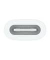 USB-C auf Apple Pencil Adapter