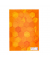 Heftschoner Serie X 20082 orange 21x29,7cm (BxH)