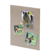 Briefmappe Pferde
