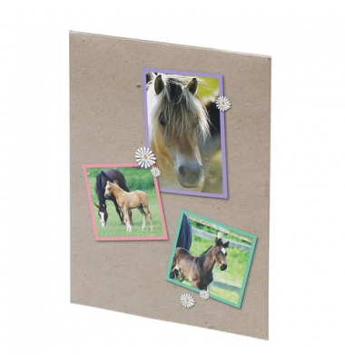Briefmappe Pferde