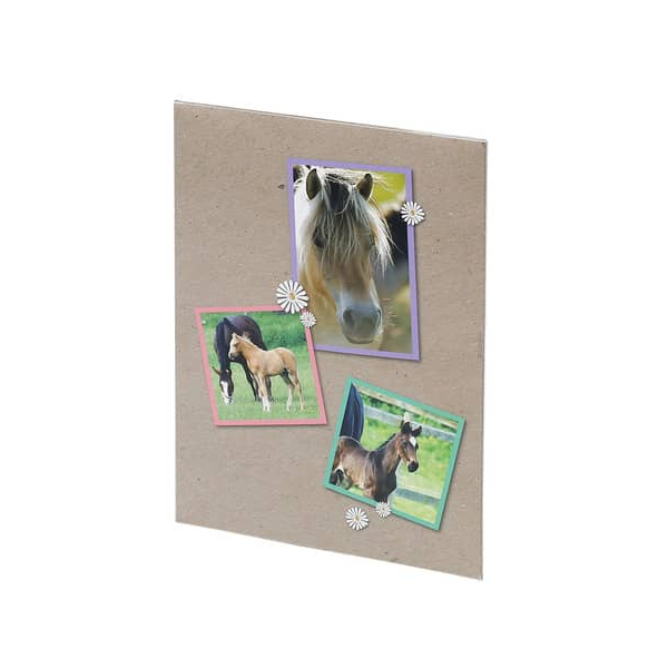 6 Stück Rössler Briefmappe Pferde 4014970454257 RÖSSLER