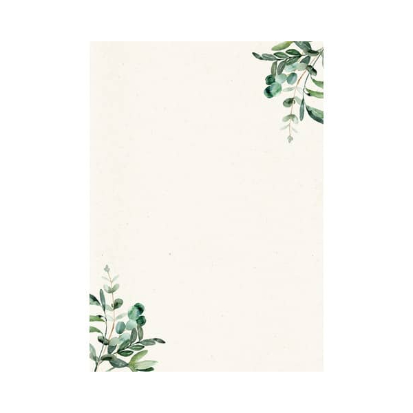50 Stück Rössler Briefpapier 16431700800, Eucalyptus Zweig, A4, 100g 4014970466373 Rössler