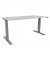 Schreibtisch, elektrisch höhenverstellbar, 65-130cm (H), 160x80cm (BxT), rechteckig, grau / silber