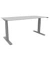 Schreibtisch, elektrisch höhenverstellbar, 65-130cm (H), 160x80cm (BxT), rechteckig, grau / silber