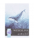 Aquarellblock A420BL 300g mehrfarbig