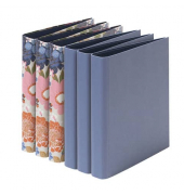 Ringbuch sortiert 13161530993 farbig sortiert