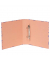 Ringbuch 13161500993 farbig sortiert