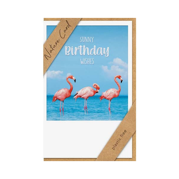 3 x BSB Geburtstagskarte Nature Card - inkl. Umschlag.