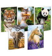 Gummizugmappe 45028, A3 bunt Karton 500g, mit 3 Einschlagklappen