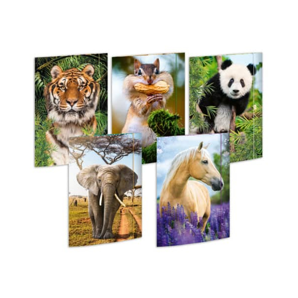 4002871450287 - Gummizugmappe A3 15ST Tiere sortiert 4002871450287 15 Stück 4002871450287 - Gummizugmappe A3 15ST Tiere sortiert 4002871450287 15 Stück