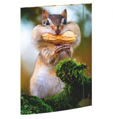 Gummizugmappe 45375, A3 bunt Karton 500g, mit 3 Einschlagklappen