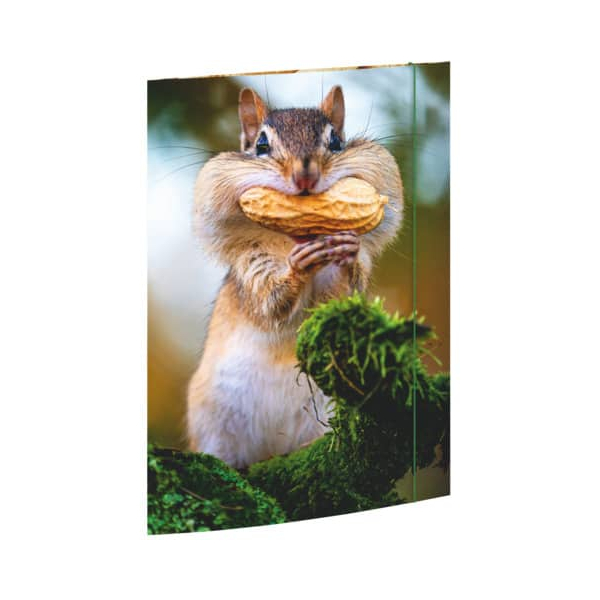 4002871453752 - Gummizugmappe 45375 A3 bunt Karton 500g mit 3 Einschlagklappen 4002871453752 RNK