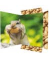 Gummizugmappe 45375 bunt Karton 500g