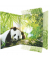 Gummizugmappe 45376 bunt Karton 500g