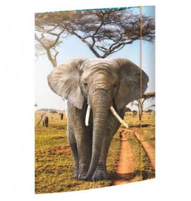 Gummizugmappe 45377, A3 bunt Karton 500g, mit 3 Einschlagklappen